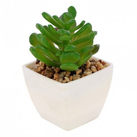 Mini Vaso Branco Com Mini Suculenta Verde Para lembrancinha 