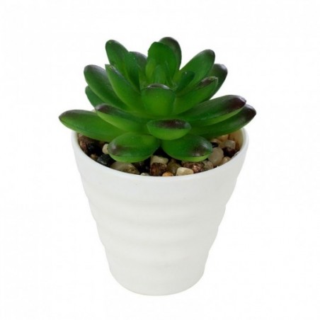 Mini Suculenta Verde Vaso Redondo Melamina