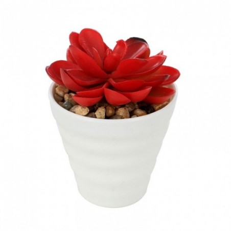 Mini Suculenta Vermelha Vaso Redondo Melamina