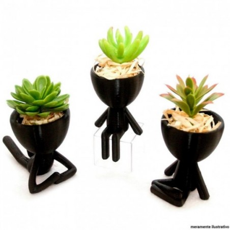 Vaso Decorativo Robert Plant Para Suculentas Plástico