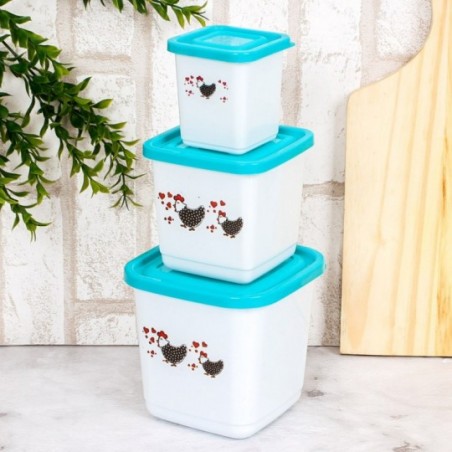 Conjunto 3 Potes Porta Mantimento Decorado ErcaPlast