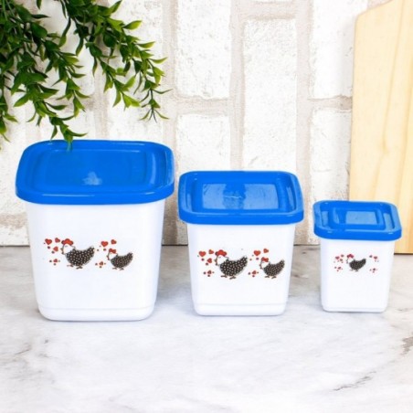 Conjunto 3 Potes Porta Mantimento Decorado ErcaPlast