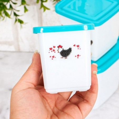 Conjunto 3 Potes Porta Mantimento Decorado ErcaPlast