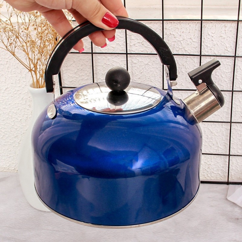 Chaleira Inox Colorida Com Apito 2 Litros Alça De Mão 20 Cm