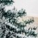 Árvore De Natal Nevada Com 50 Galhos 60 Cm