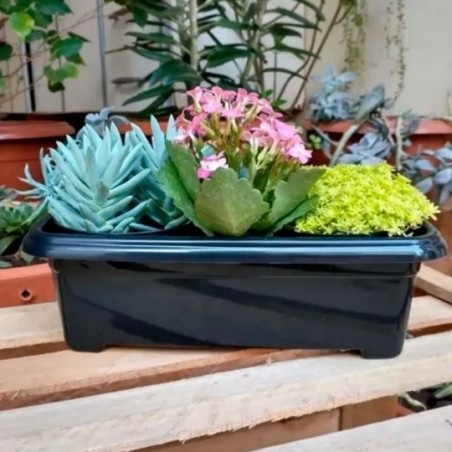 Vaso Floreira Jardineira Preta 20x10 Cm 950ml ErcaPlast