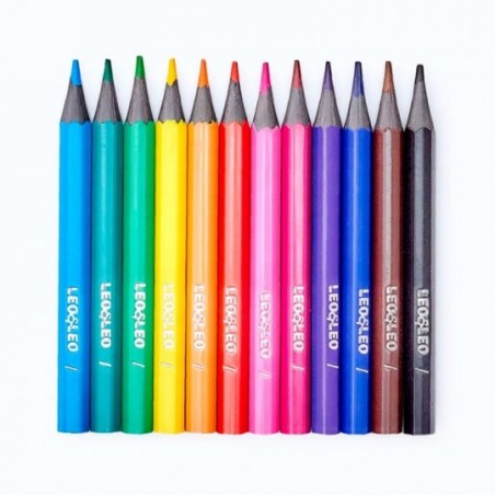 Kit 6 Caixas Mini Lápis De Cor Sextavado 12 Cores Leo E Leo