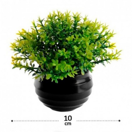 Planta Com Vaso Decorativo De Plástico 10 Cm Variado