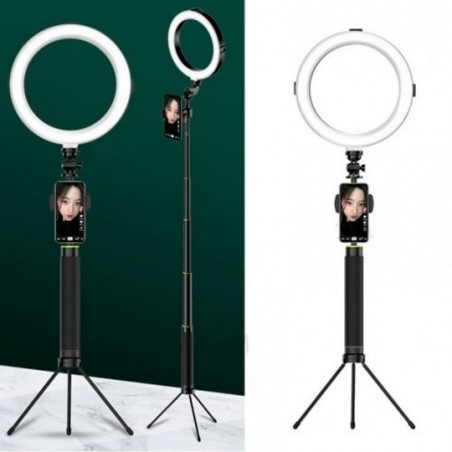 Ring Light Iluminador Com Tripé 8" Polegadas Suporte De Celular