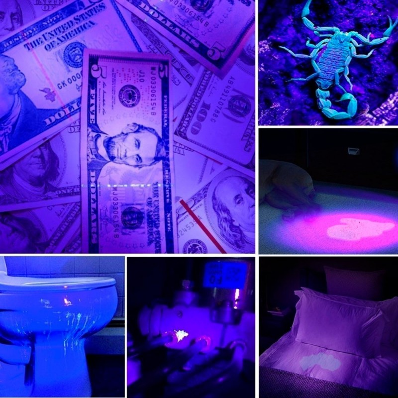 Mini Lanterna UV Com 21 LEDs Lâmpada Luz Ultravioleta - Feira da Madrugada SP