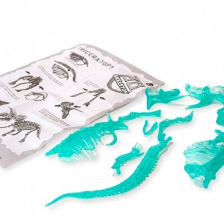Fosseis De Dinossauro 3D Brilha No Escuro Brinquedo Infantil - Feira da Madrugada SP