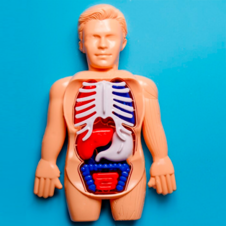 Kit Medico Corpo Humano 13 Peças Brinquedo Infantil - Feira Da Madrugada SP!