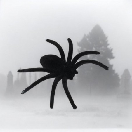 Kit Aranha De Veludo 6cm 2 Peças Enfeite De Halloween