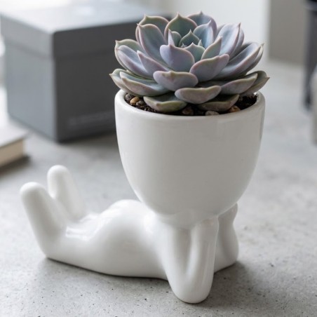 Vaso Decorativo Robert Plant Deitado Em Cerâmica Para Suculentas